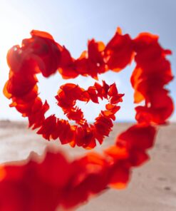 Dia del AMOR | Romance